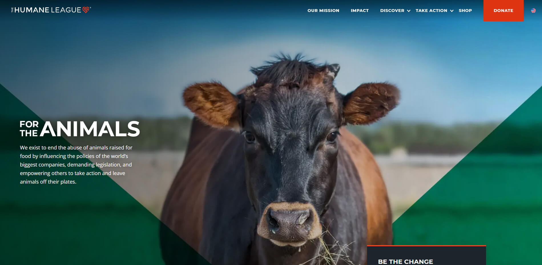 esempio sito web senza scopo di lucro per la tutela delgli animali