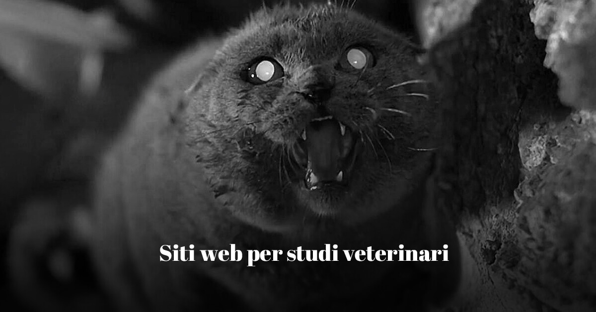 siti web per studi veterinari, consigli ed esempi