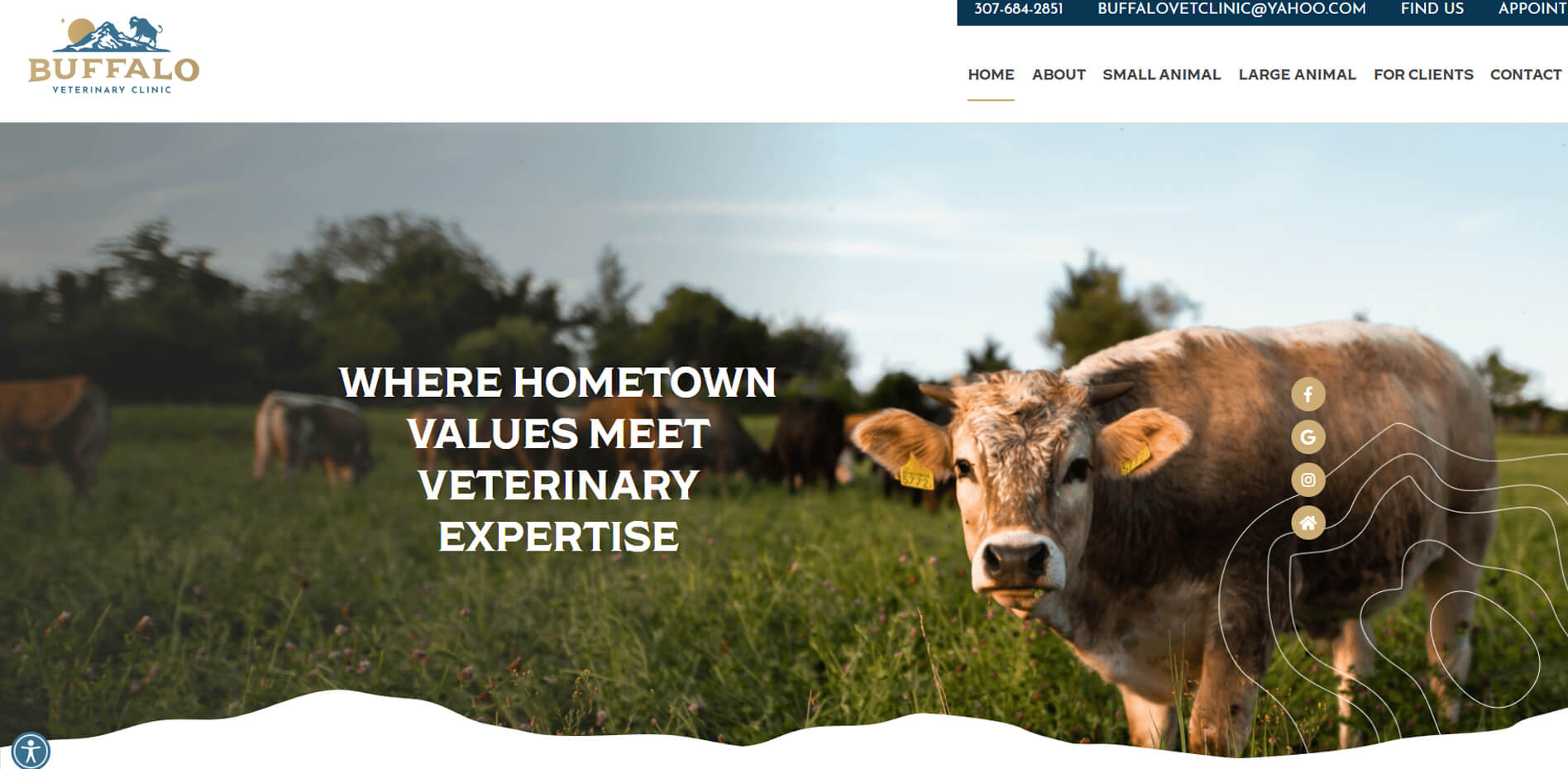 web design per ambulatorio veterinario