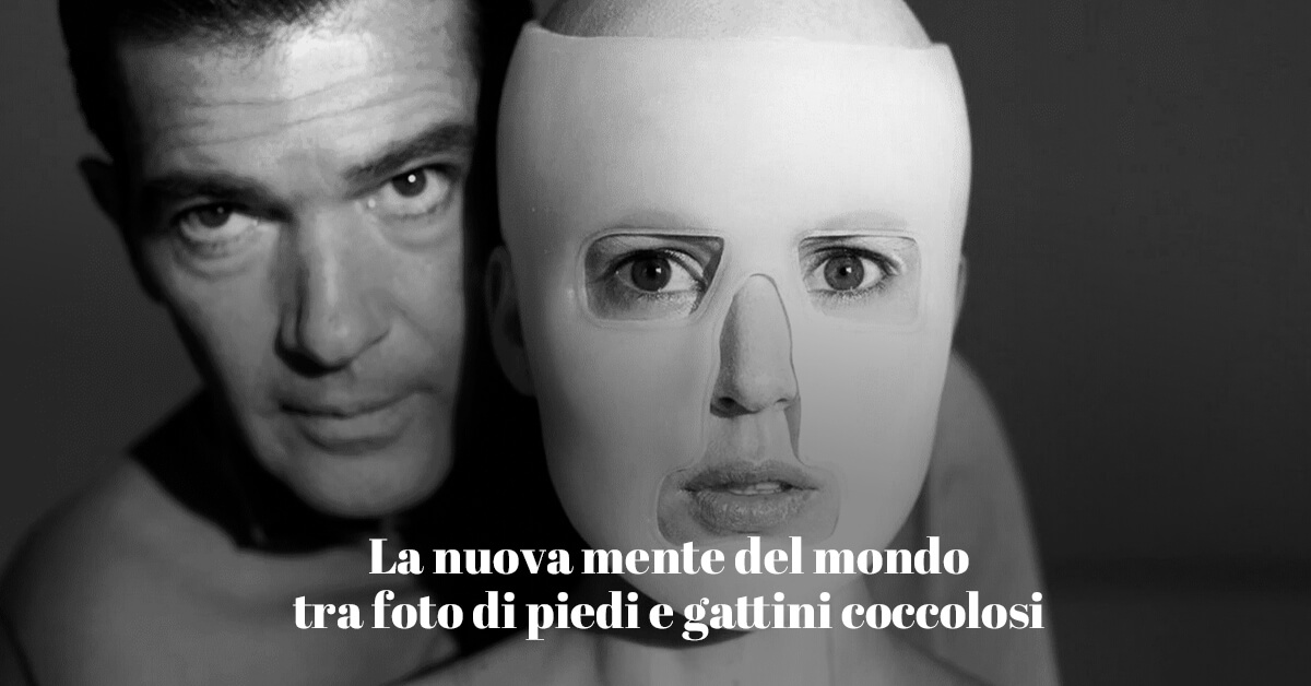 il web è la nuova mente del mondo tra foto di piedi e gattini coccolosi