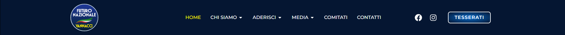 analisi progettazione menu del sito di Vannacci